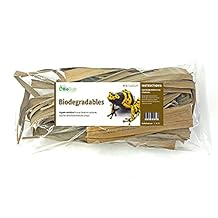 Bio Dude Southern Palm Fronds / Leaves 6 qt ، للزواحف والضفادع والأحواض الحيوية النشطة   