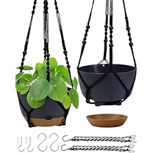 Koalaime Hanging Planter Self Watering 10 Inch, 2 Pack Indoor Outdoor Hanging Baskets, Hanging Flower Pots with Drainage Hole & 2 Kinds of Plant Hangers for Garden Home Decor(Green)...