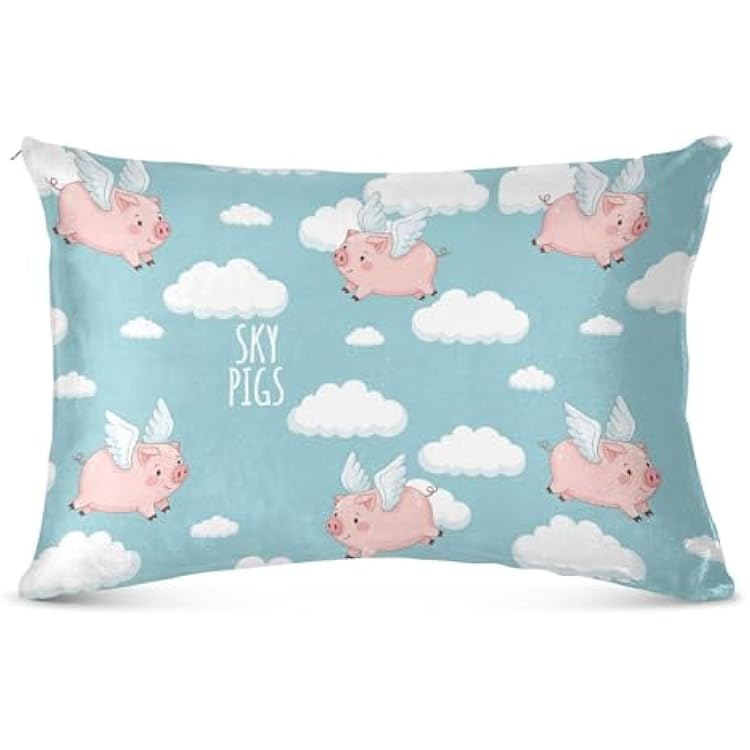 غطاء وسادة أزرق من Pig Clouds للشعر والبشرة، مقاس كوين 20X 30، غطاء وسادة غامض بسحاب للرجال