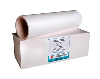 GE Whatman 10401147 Protran BA85 Nitrocellulose Blotting Membrane, Circle, 0.45m Pore Size, 137mm Diameter (Pack of 25)