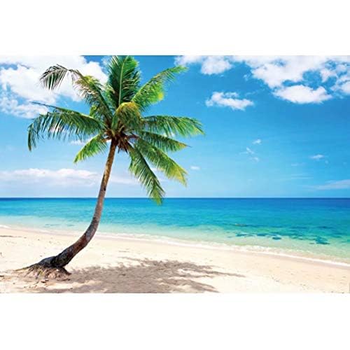 DASHAN 12x8ft Summer Ocean Tropical Beach Backdrop Hawaiian Luau Party Sea Sailor Beach عيد ميلاد الزفاف دش التصوير الفوتوغرافي خلفية Sandbeach Palm Tree Wedding Baby Shower YouTube Photo Props
