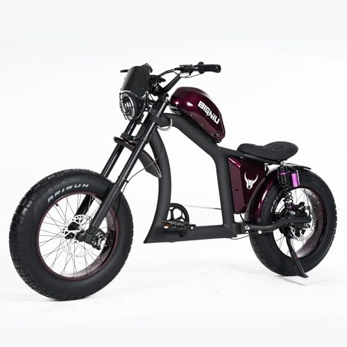 BIGNIU Electric Bike for Adults,1500W Brushless Motor 48V31.5Ah Removable Battery Up to 40 Miles, 205 Fat Tire Ebike with Dual Suspension Complies Electric Bicycle to UL2849