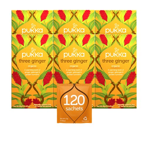 Pukka Organic Tea Bags, Three Ginger Herbal Tea with Turmeric & Galangal, Perfect for Soothing Warmth, 20 Count Pack of 6 120 Tea Bags