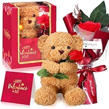 VioraWhite Valentine's Day Gift Set Plush Stuffed Animal Bear with Rose Card and Box with Window 8.67inch Cute Stuffed Animal Bear Plush Gift(Red)