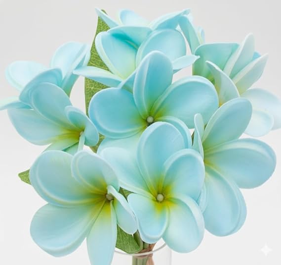 Angel Isabella Real Touch Artificial Frangipani Plumeria Stems - Lifelike Faux Flower for Wedding Bouquet, Home Decor, DIY Crafts - Pack of 10 Raffia Tied (Aqua Freeze)