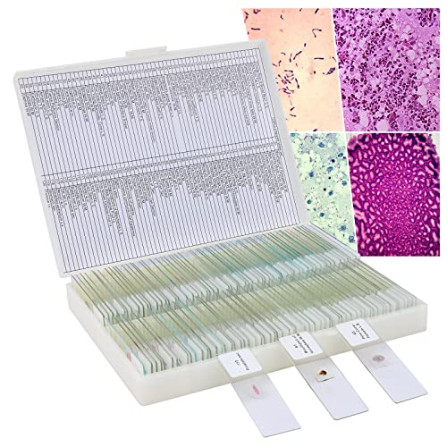 120pcs شرائح ميكروسكوب محضرة مع عينات ، طقم شريحة ميكروسكوب للبالغين مدرسة أطفال مختبر التعليم البيولوجي الصفحة الرئيسية