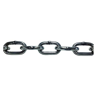 Pewag Chain 10 ft L Trade Size 18 in. 304L SS