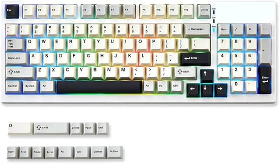 Black Mechanical Gaming Keyboard 99-Key Hot Swap Gasket 98% 1800 Layout Wireless RGB Full-Size Compatible with YZ98(White)