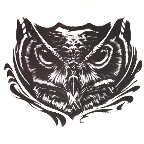 Body Art Removable Waterproof Temporary Tattoo paper Sticker sexy color bird Owl Design 20  30cm