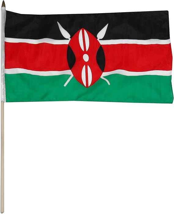 US Flag Store Kenya Flag ، 12 × 18 بوصة