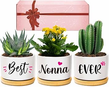 AceThrills Nonna Gifts for Birthday, Nonna for Nonnas from Grandkids, Unique Present on Thanksgiving Christmas - 3 Pcs 3.15" Succulent Pots with Bamboo Tray