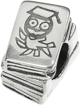 Dreambell 925 Sterling Silver Wise Owl Bird Apple Book Teacher Education Collection Fits European Charm Bracelets