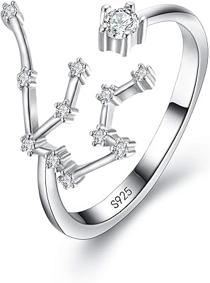 BriLove 925 Sterling Silver CZ Statement Ring Horoscope Zodiac 12 Constellation Astrology Adjustable Rings for Mom Women Mothers DayValentines DayBirthdayChristmasAnniversary