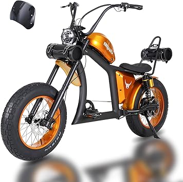 BIGNIU Electric Bike for Adult, Ebike with 1500W Brushless Motor 52V/29.4Ah Range Up to 38 Miles Electric Bike E Bike BG-X PRO Front/Rear Turn Signals Dual Suspension