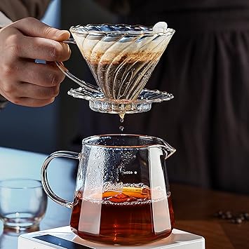 Bincoo Pour Over Coffee Maker Set, V-shape 60 Cone Drip Coffee Maker, Included 16oz Borosilicate Glass Coffee Carafer and Size 02 Coffee Dripper & 50 Pcs Paper Filter (16oz-Clear)
