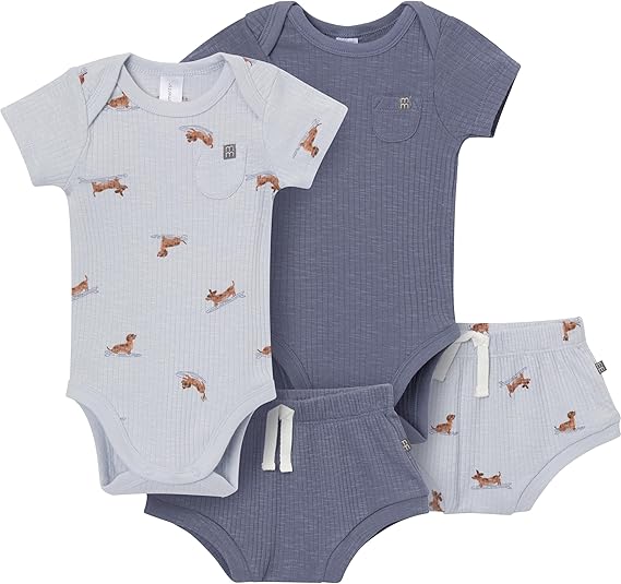 Modern Moments by Gerber Baby 4-pack Short-sleeve Bodysuits & Shortie Set