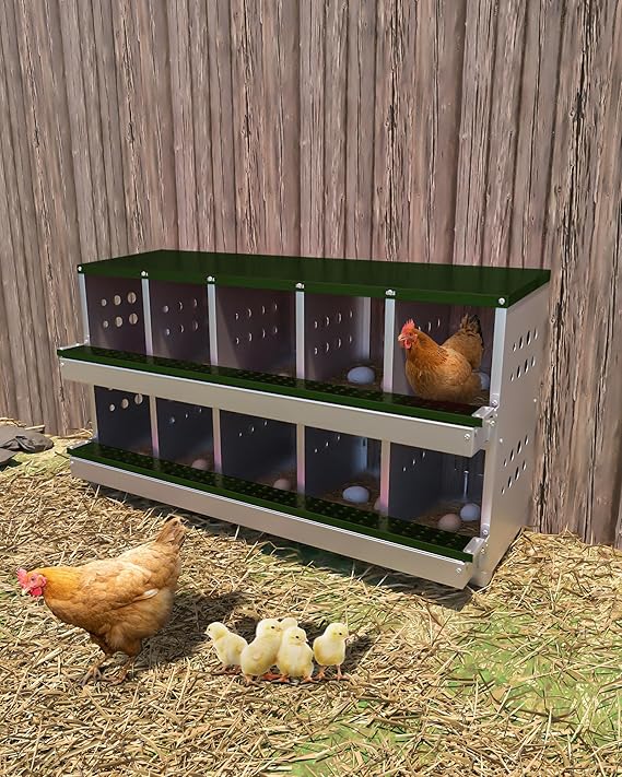Galvanized Metal Chicken Nesting Box - 10 Compartments with Perch Rod, Egg Collection Tray & Fake Training Eggs - Rustproof Poultry Laying Box for Hens